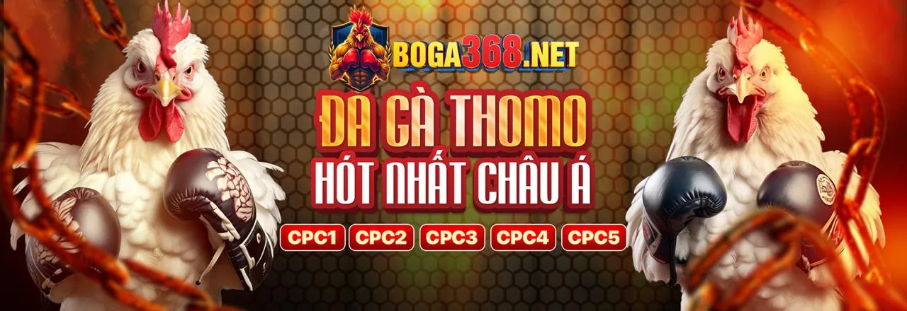 Tổng quan các tính năng ứng dụng qh99