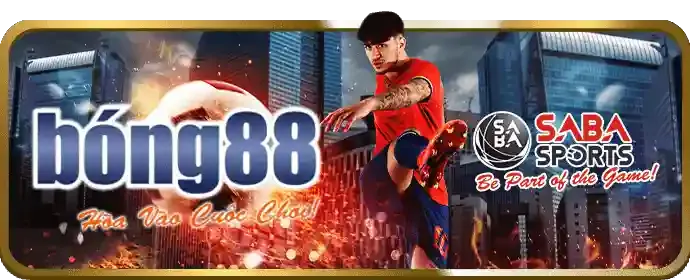 Sự kiện và giải đấu qh99